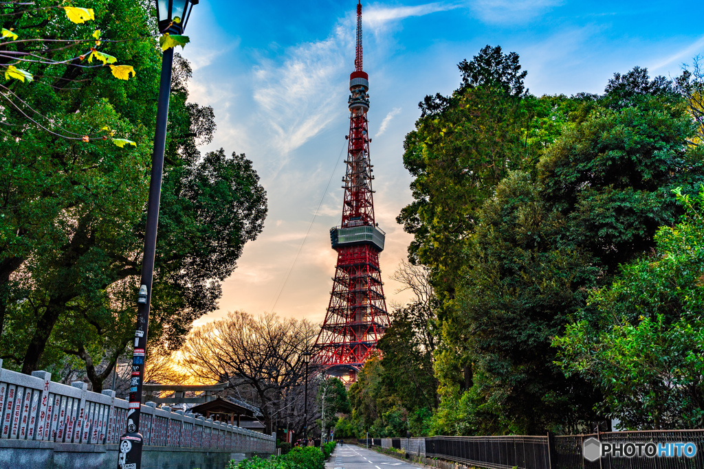 夕焼け東京タワー