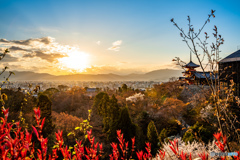 京都清水