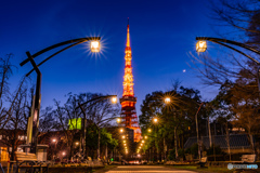 東京タワー夜景