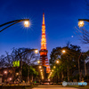 東京タワー夜景