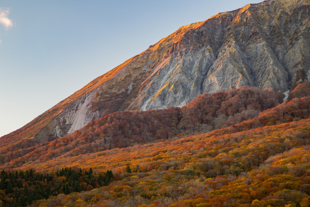 大山紅葉10