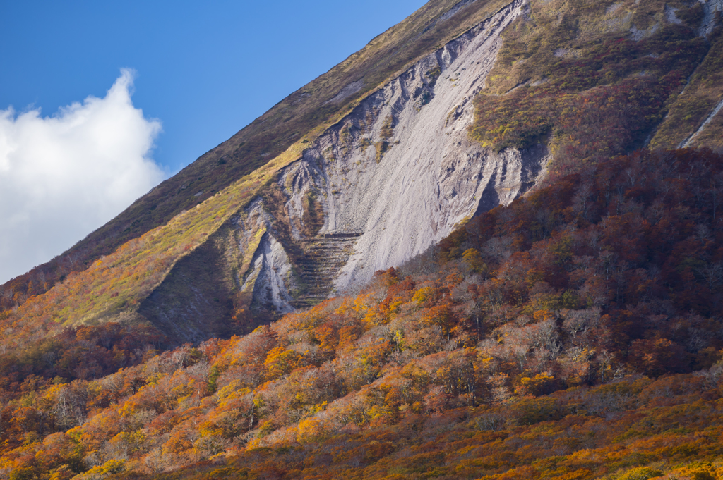 大山紅葉6