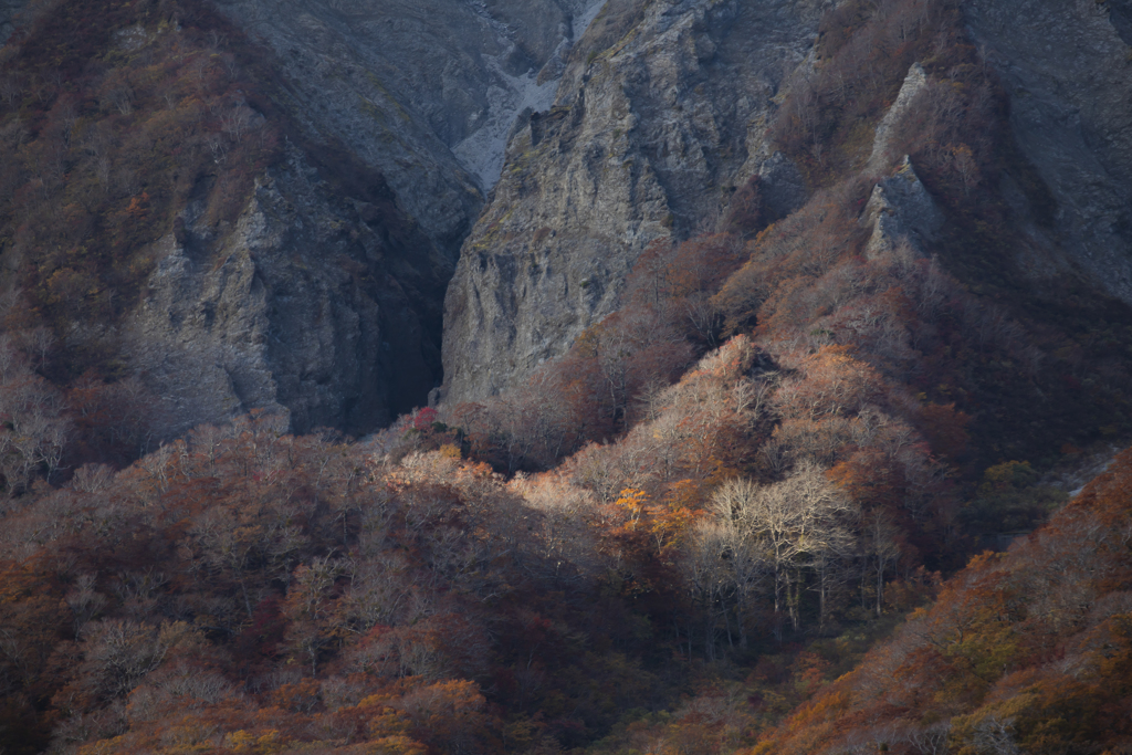 大山紅葉7