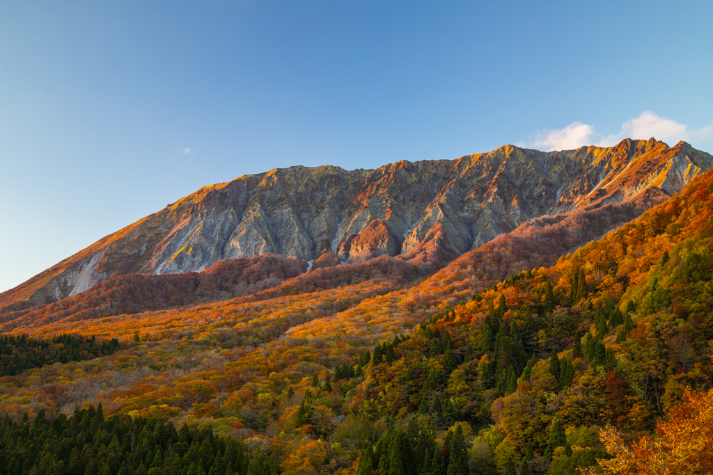 大山紅葉9