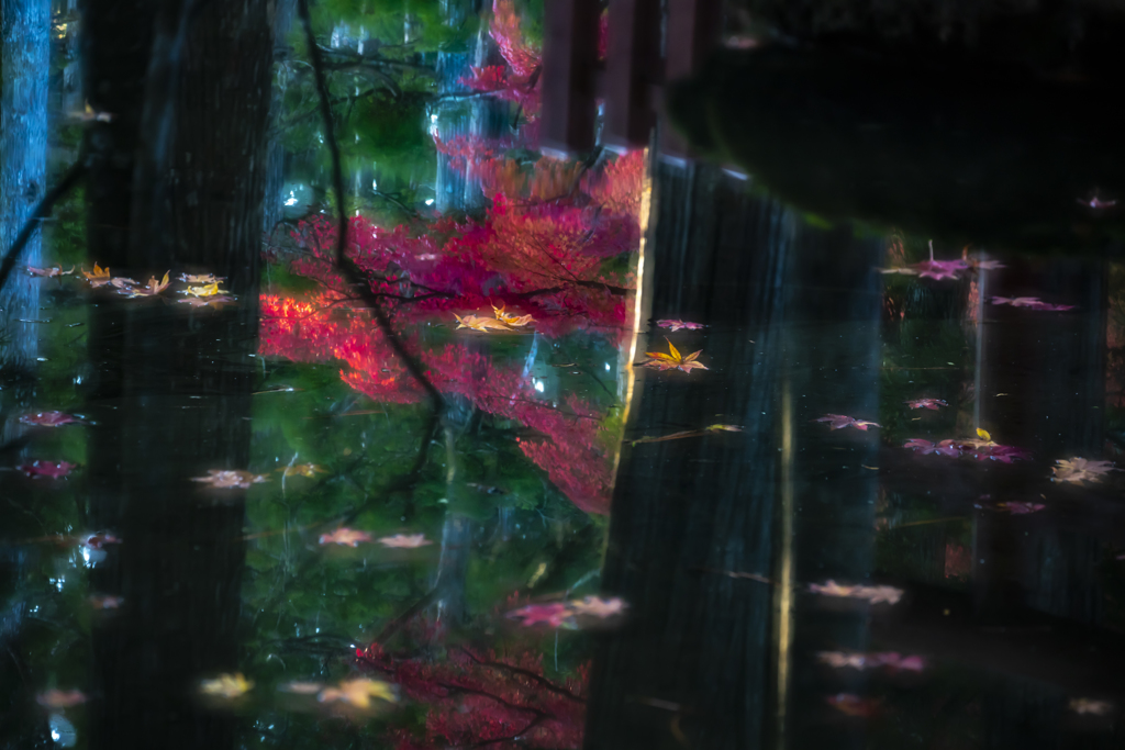 高野山紅葉8