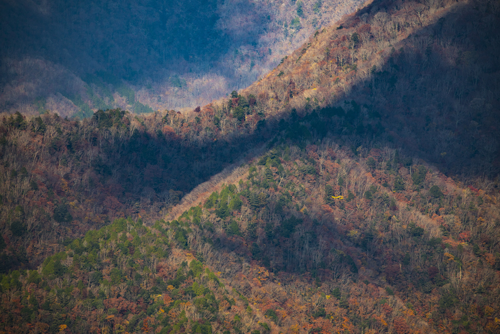 上北山村紅葉4