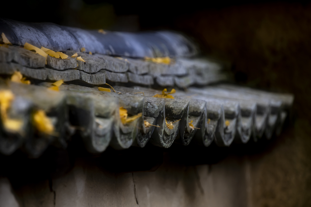 金剛寺2