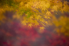 奈良散歩10