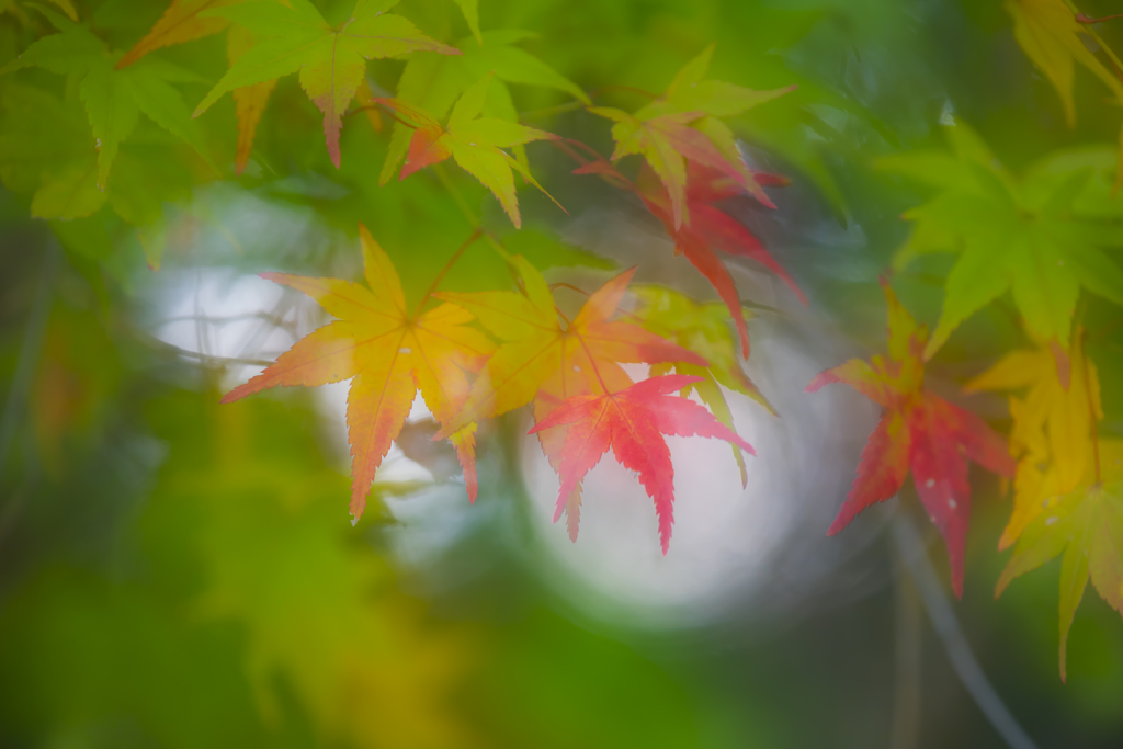當麻寺奥の院にて3