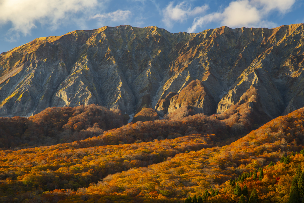 大山紅葉8