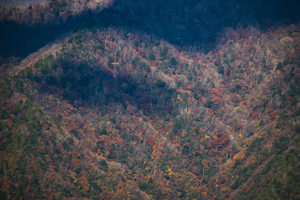 上北山村紅葉3