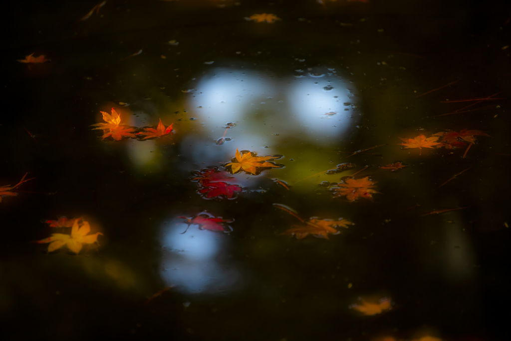 高野山紅葉9