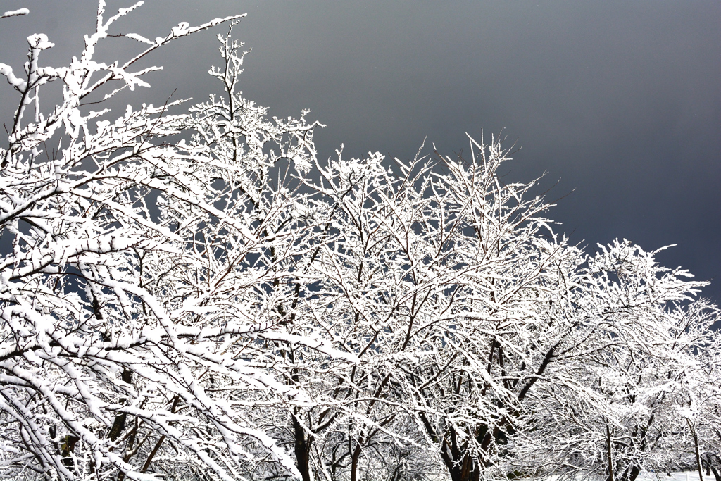 雪の公園　7