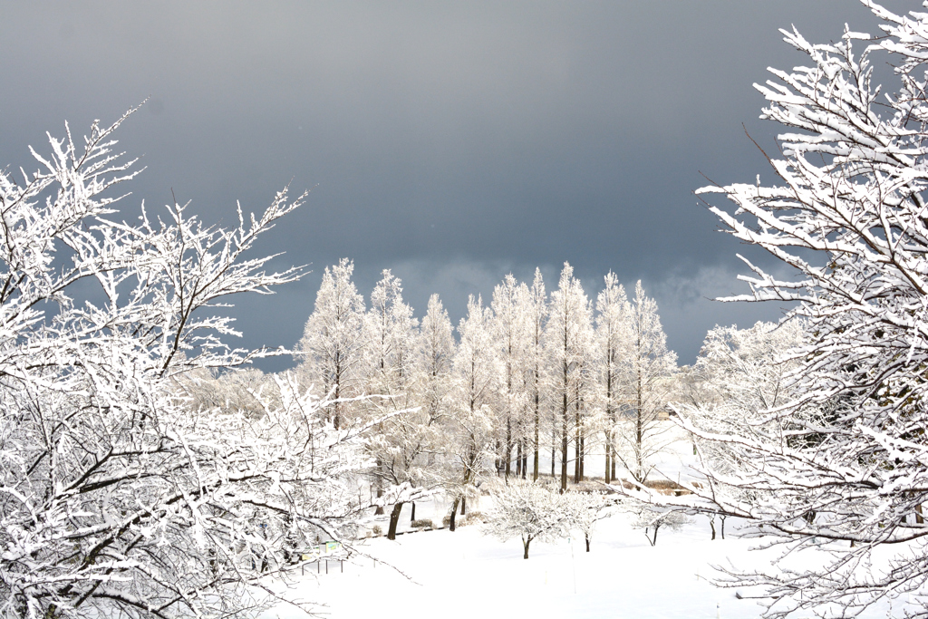 雪の公園　5