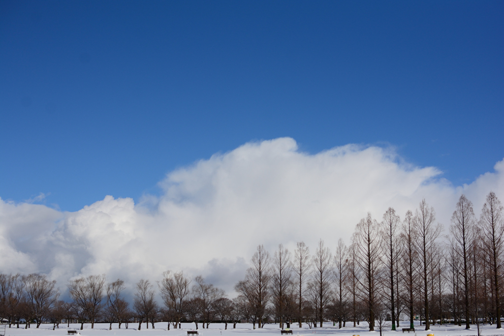 つかの間の青空