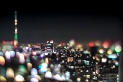 Tokyo dream