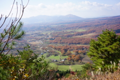 緑の先の紅　　蒜山