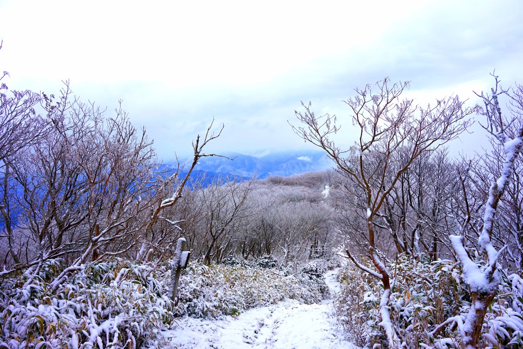 那岐山　雪景色３