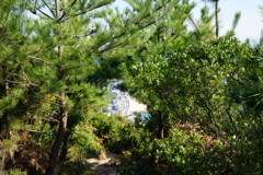 緑の中の浜辺　王子が岳