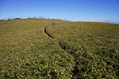 奥の細道（偽　　三嶺