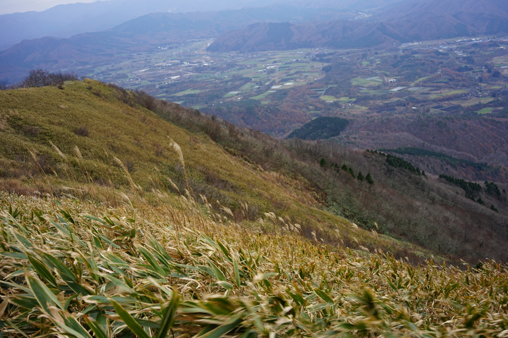 ちょい強風　　中蒜山