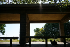 ぬこに一服　　王子が岳