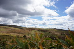 その向こう　　霧ヶ峰