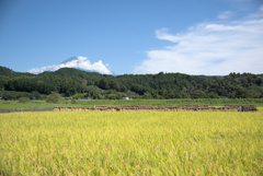 富士麓の田園