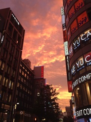 新宿の夕焼け