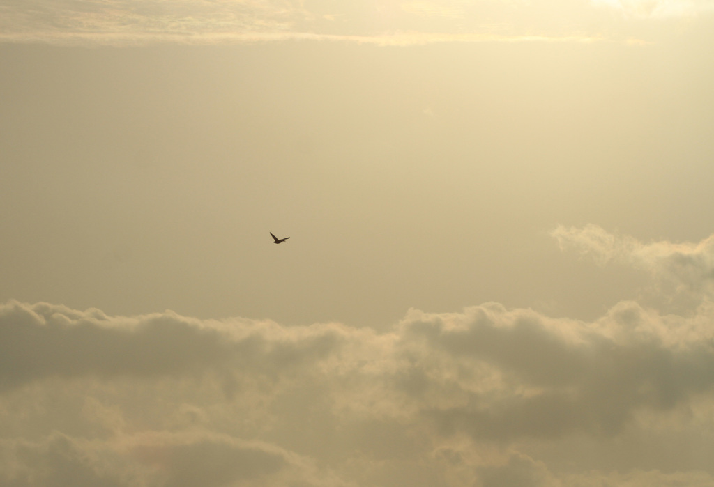 あの空の向こうへ。