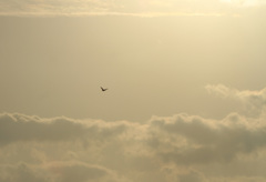 あの空の向こうへ。