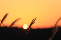 朝日、八角形。