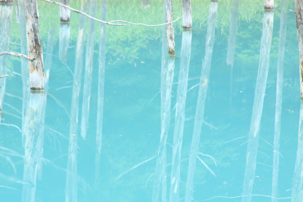 北海道　青い池