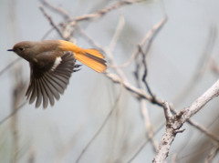 それじゃあまたね。