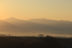 朝靄に包まれた丘