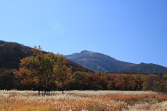 くじゅう　長者原タデ湿原。