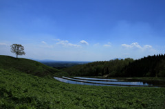産山村　扇棚田