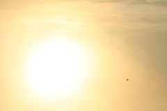 朝日に向かって。