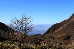 阿蘇根子岳を眼下に。