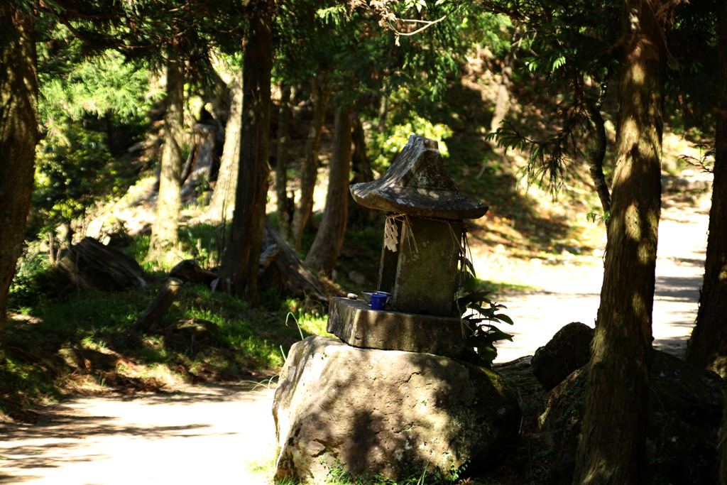 登山道にて