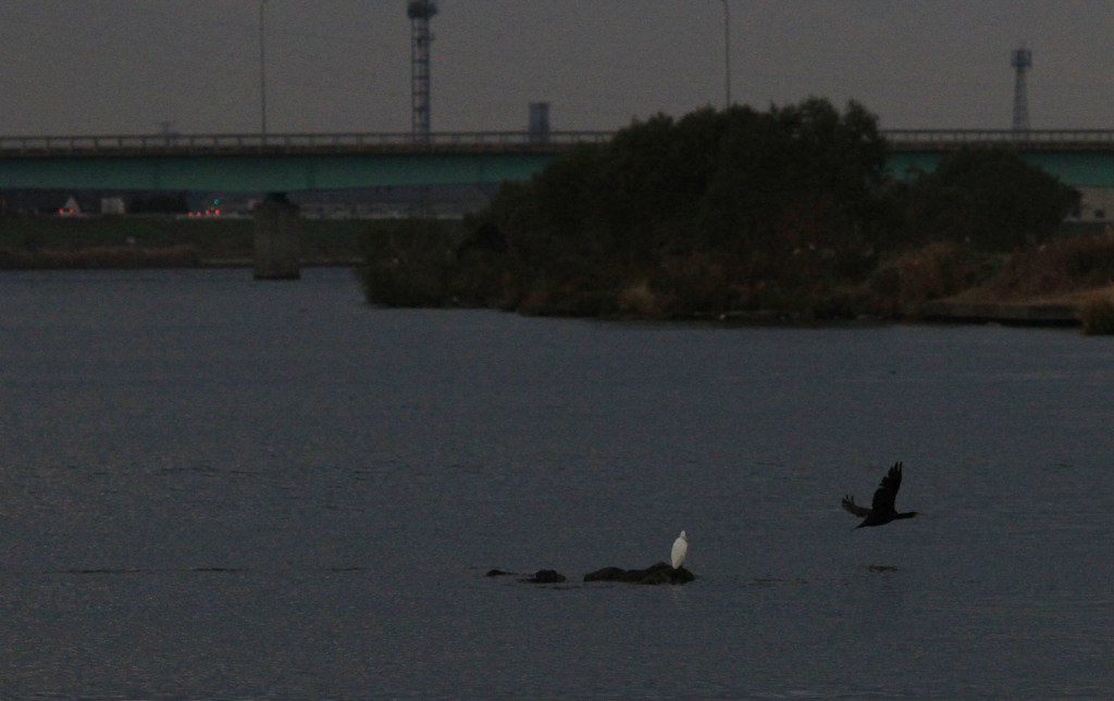 それじゃあまたね。