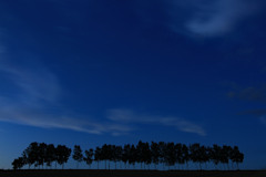 月夜のカシオペア