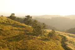 夕霧の丘。