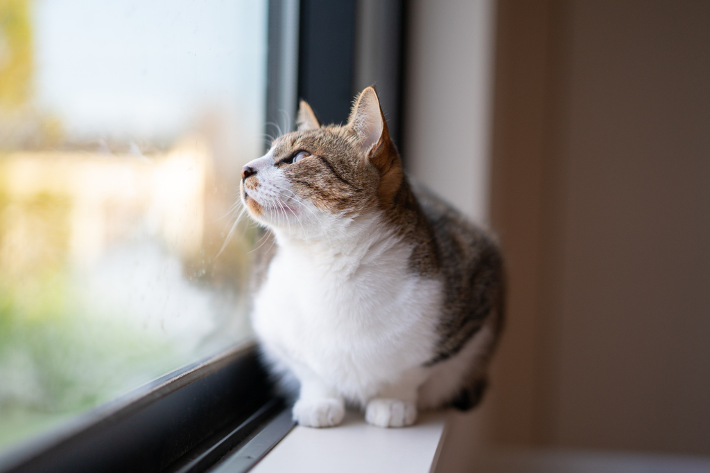 朝のルーティン