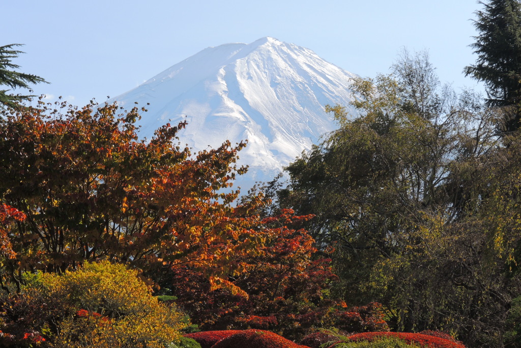 富士山