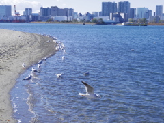 お台場海浜公園