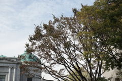 上野国立博物館