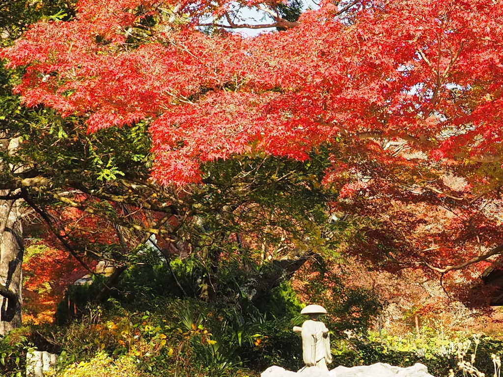 於　池田　久安寺。