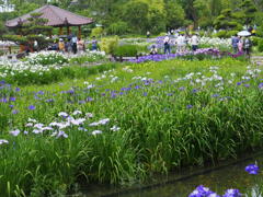 於　大阪城北公園。