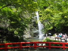 於　箕面大滝。